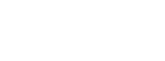 VASSIST